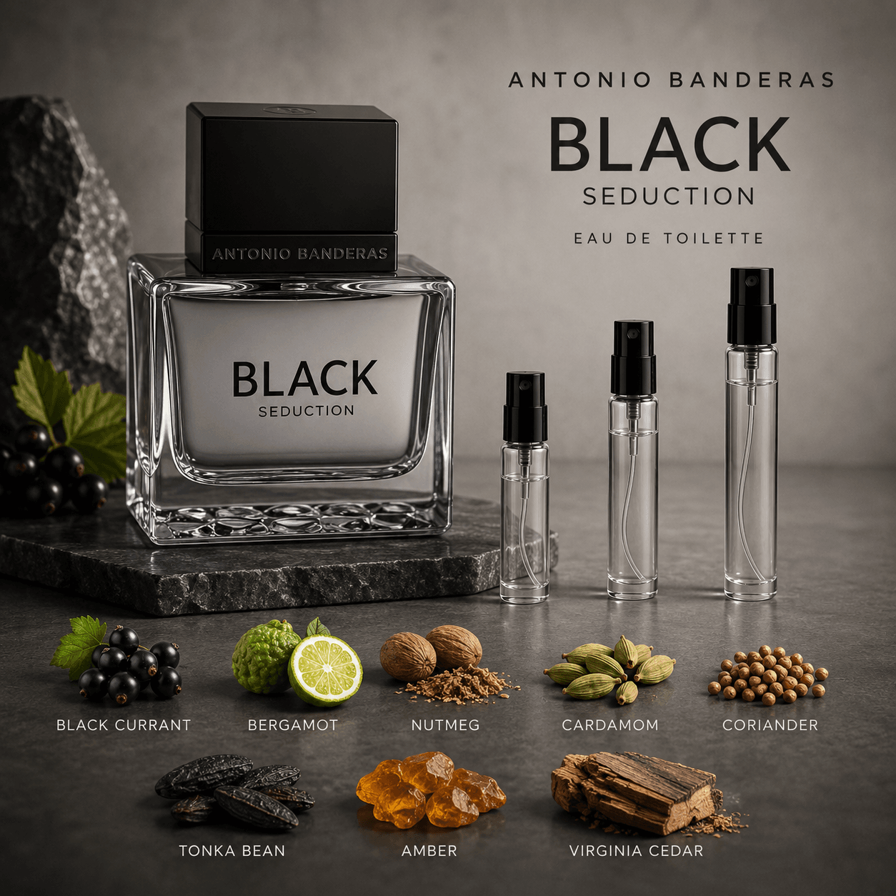 Antonio Banderas Seduction In Black