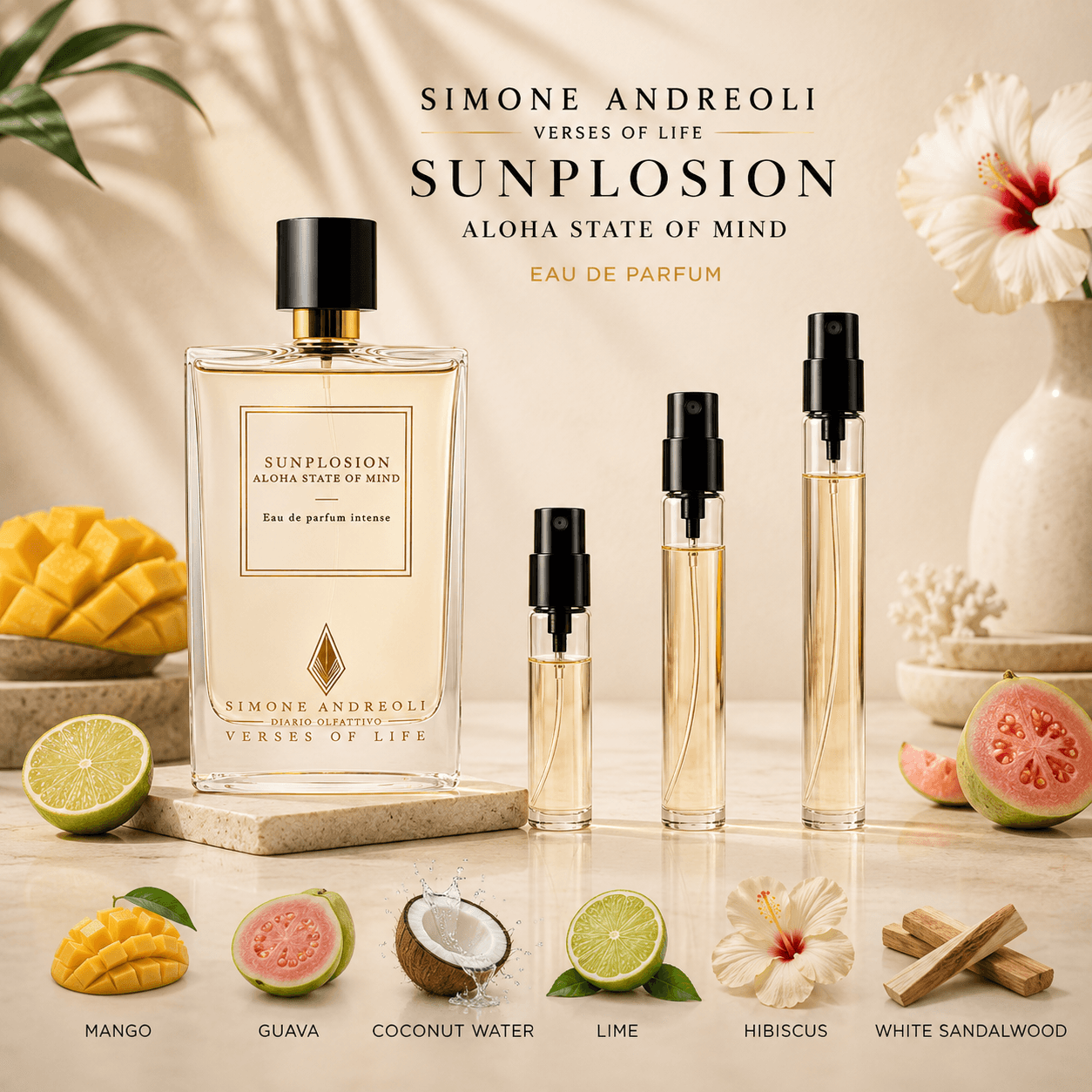 Simone Andreoili Sunplosion